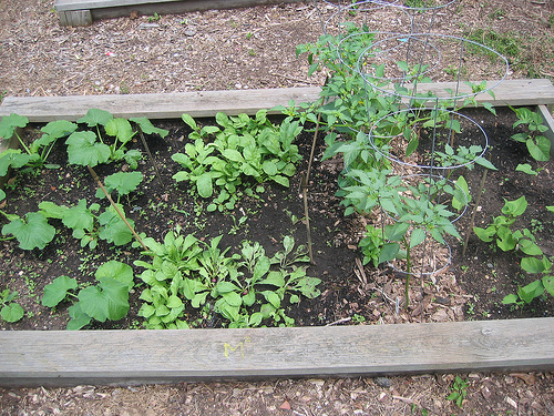 Middle Plot 06_09